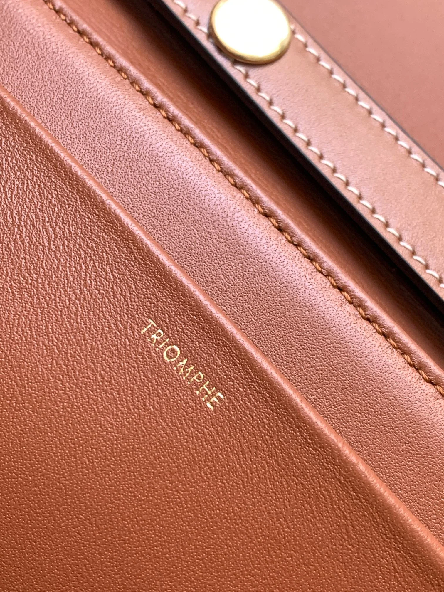 Сумка Celine Triomphe из телячьей кожи с принтом под холст