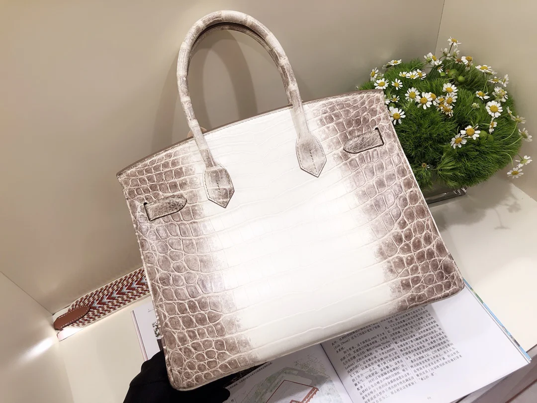 Hermes Birkin 30 Himalaya Silver Buckle