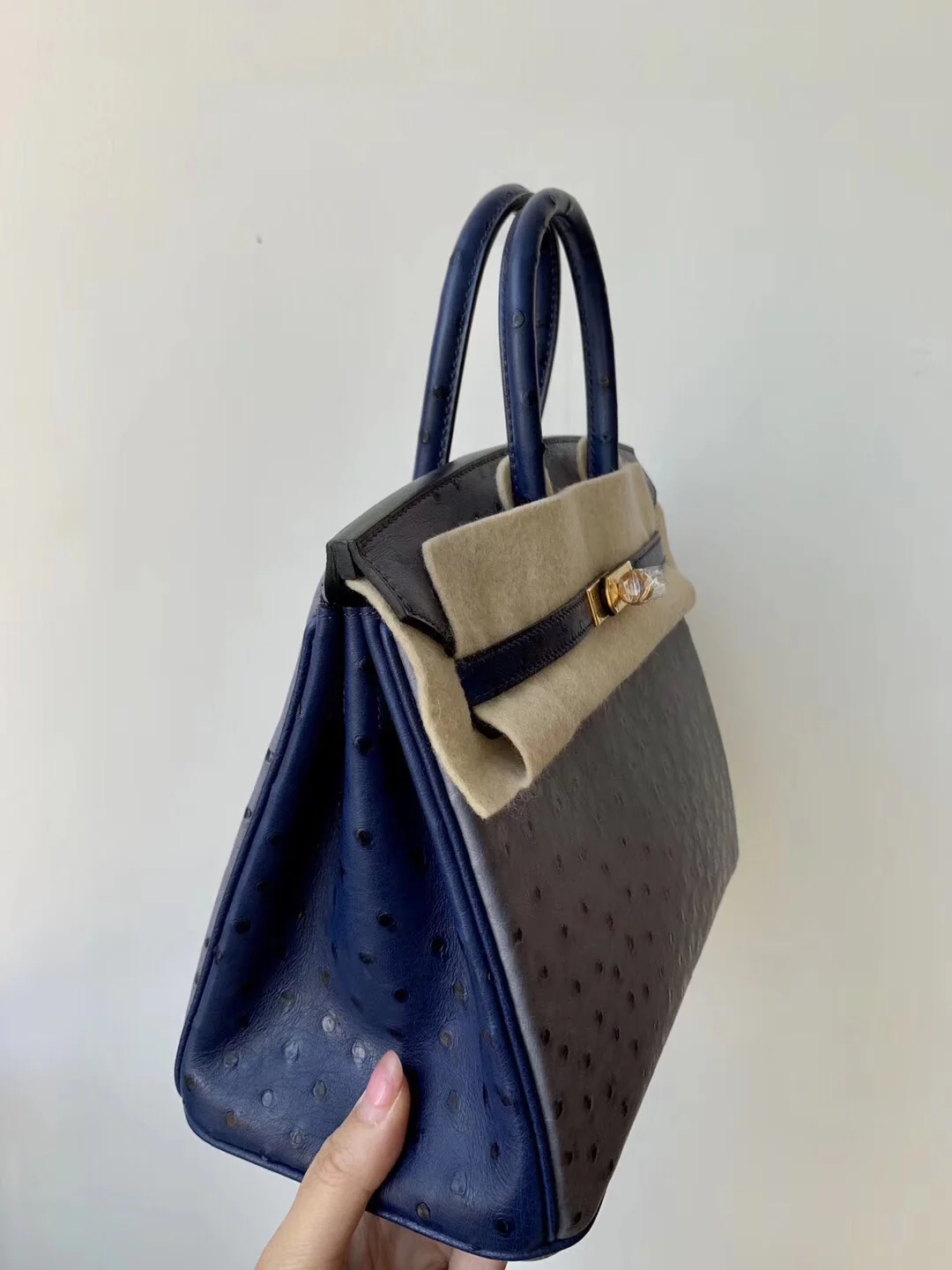 Hermes Birkin 25, пряжка из страусиной кожи с золотой отделкой