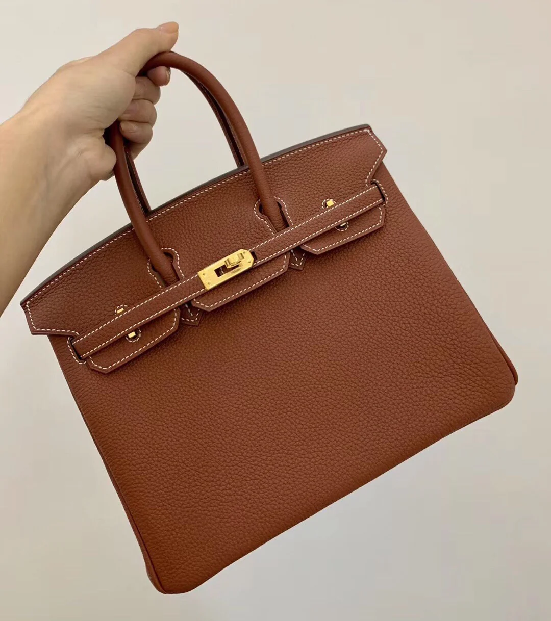 Hermes-birkin-25-e4-Maple Leaf Palm-Gold Buckle