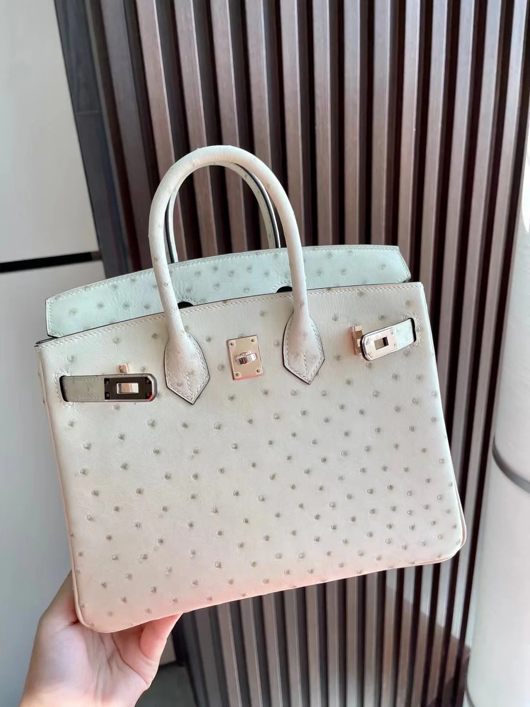 Сумка Hermes Birkin 25 из страусиной кожи белого цвета с пряжкой из розового золота.