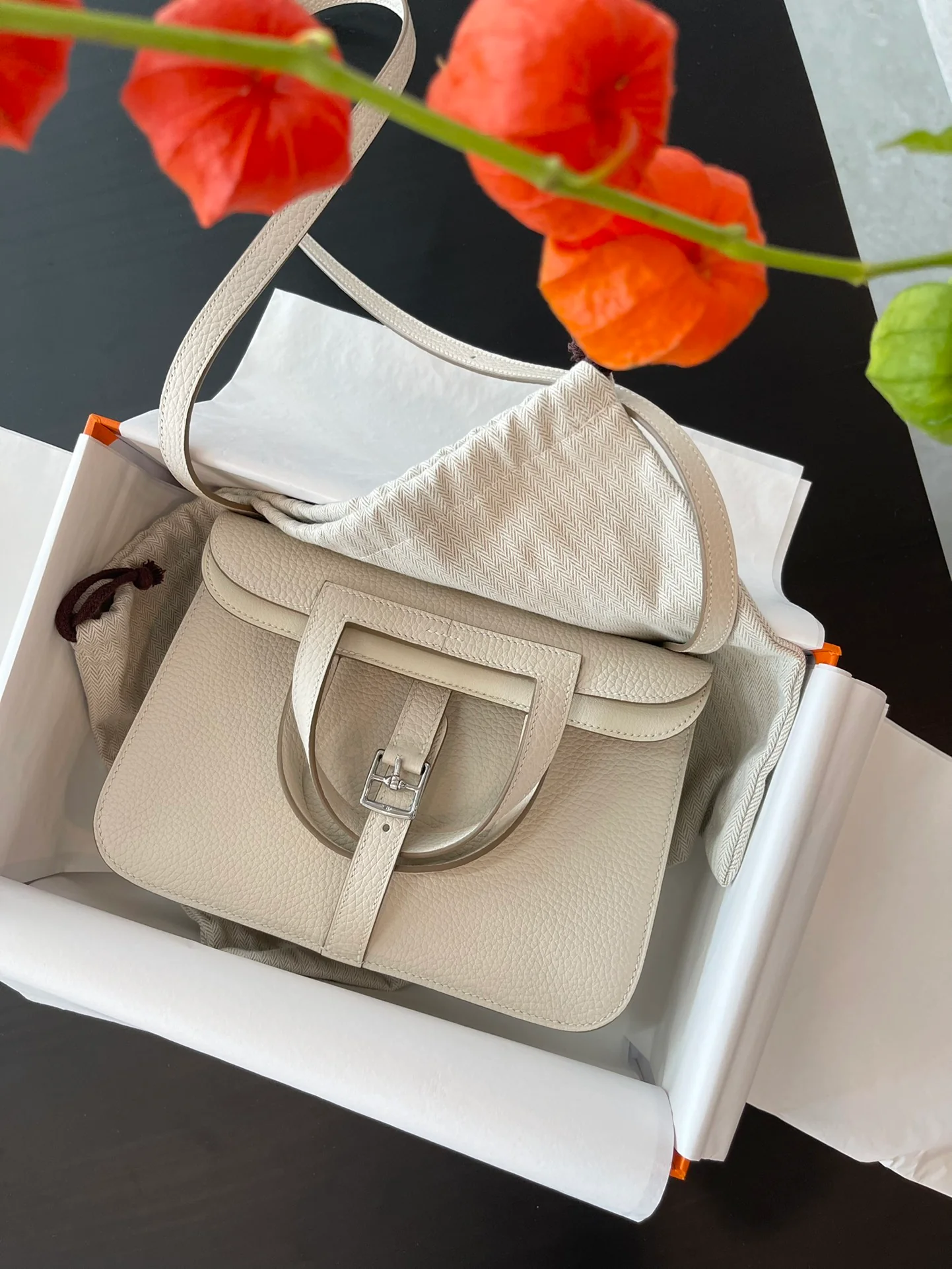 Hermes Halzan 25 Milkshake Color TC Silver Buckle