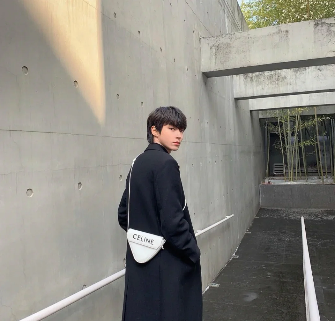 Celine - Треугольная сумка из натуральной кожи - Большой логотип - 1