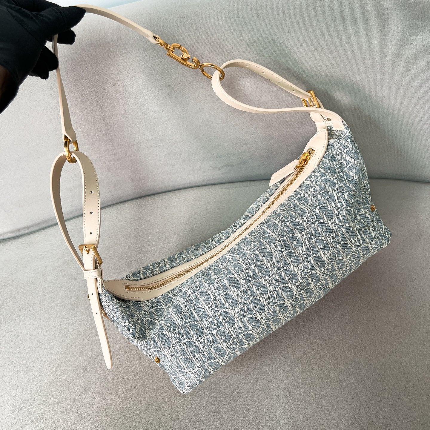 Dior Journey Dumplings - Medium - Monogram Blue