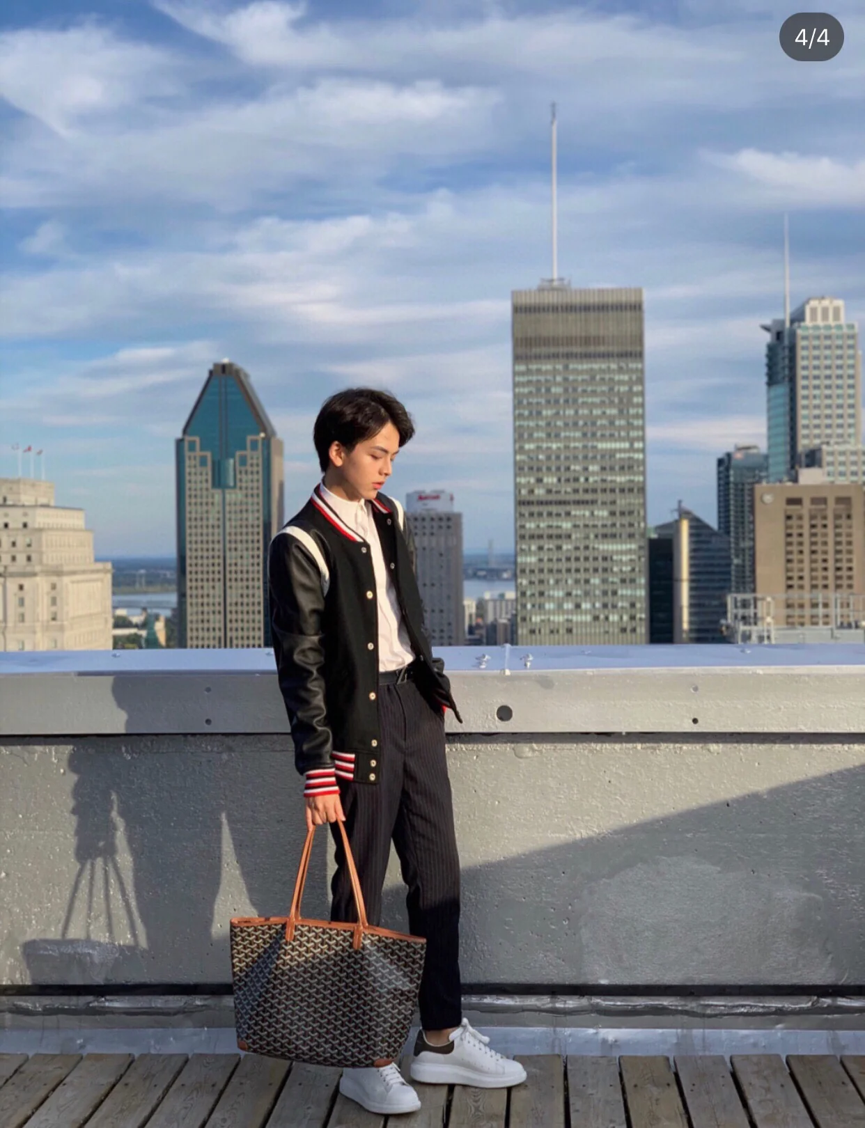 Большая сумка-тоут Goyard на молнии - Кофейно-коричневый