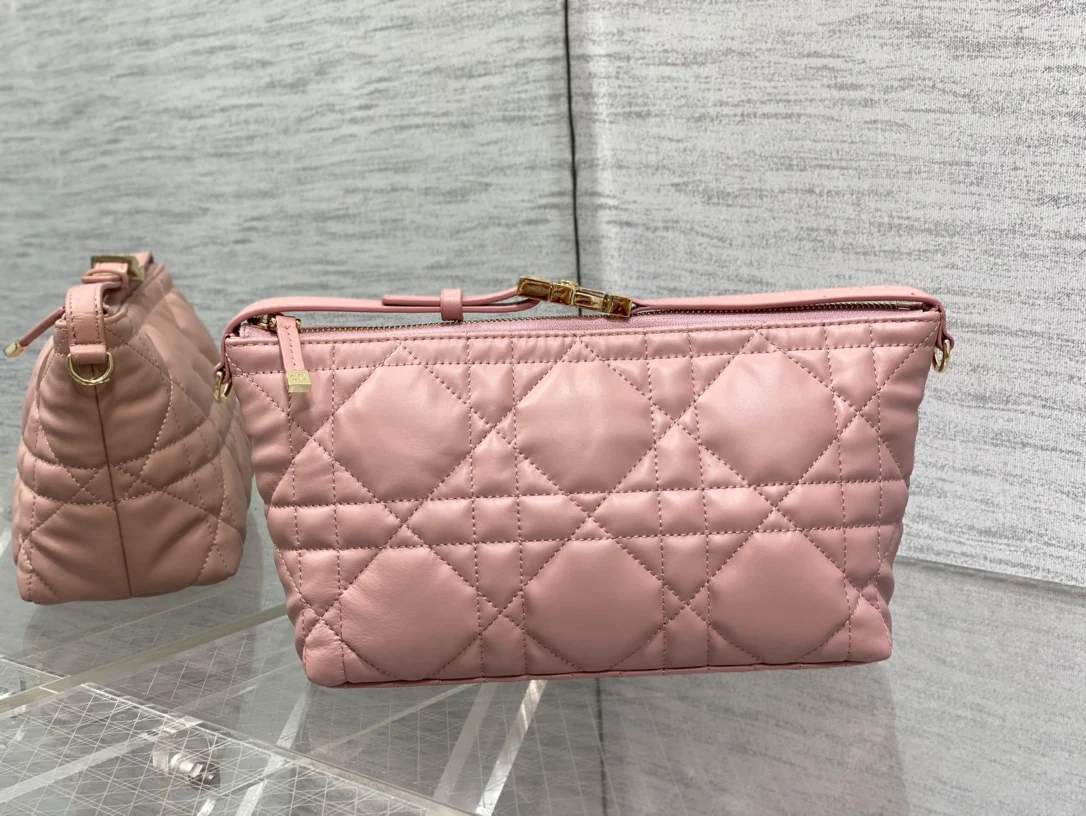 Dior-diortravel-nomad-largbox bag-pink