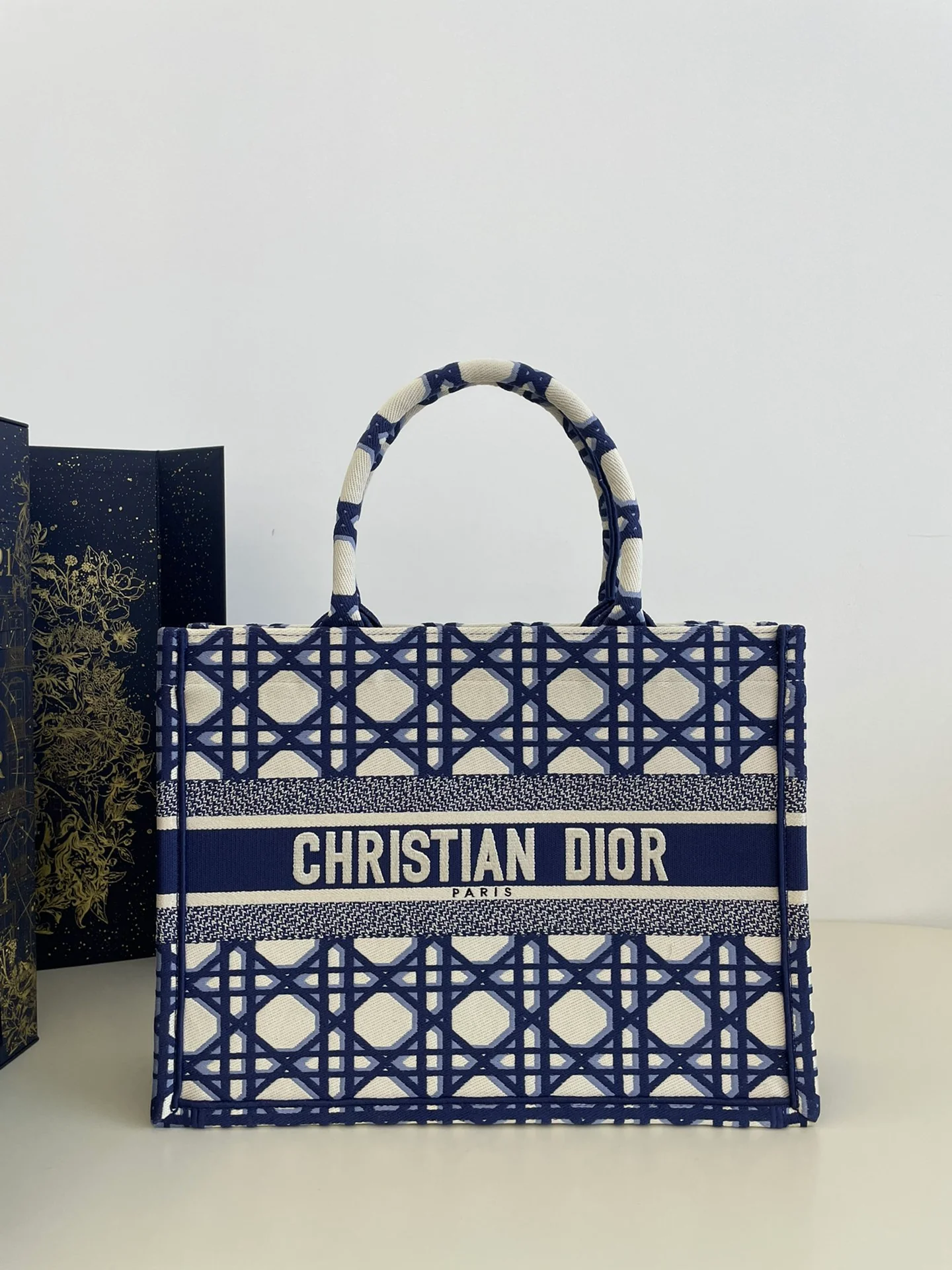 Новинка сезона весна/лето 2023 от Dior - Сумка-тоут - Сине-белый цветовой блок - Средний размер