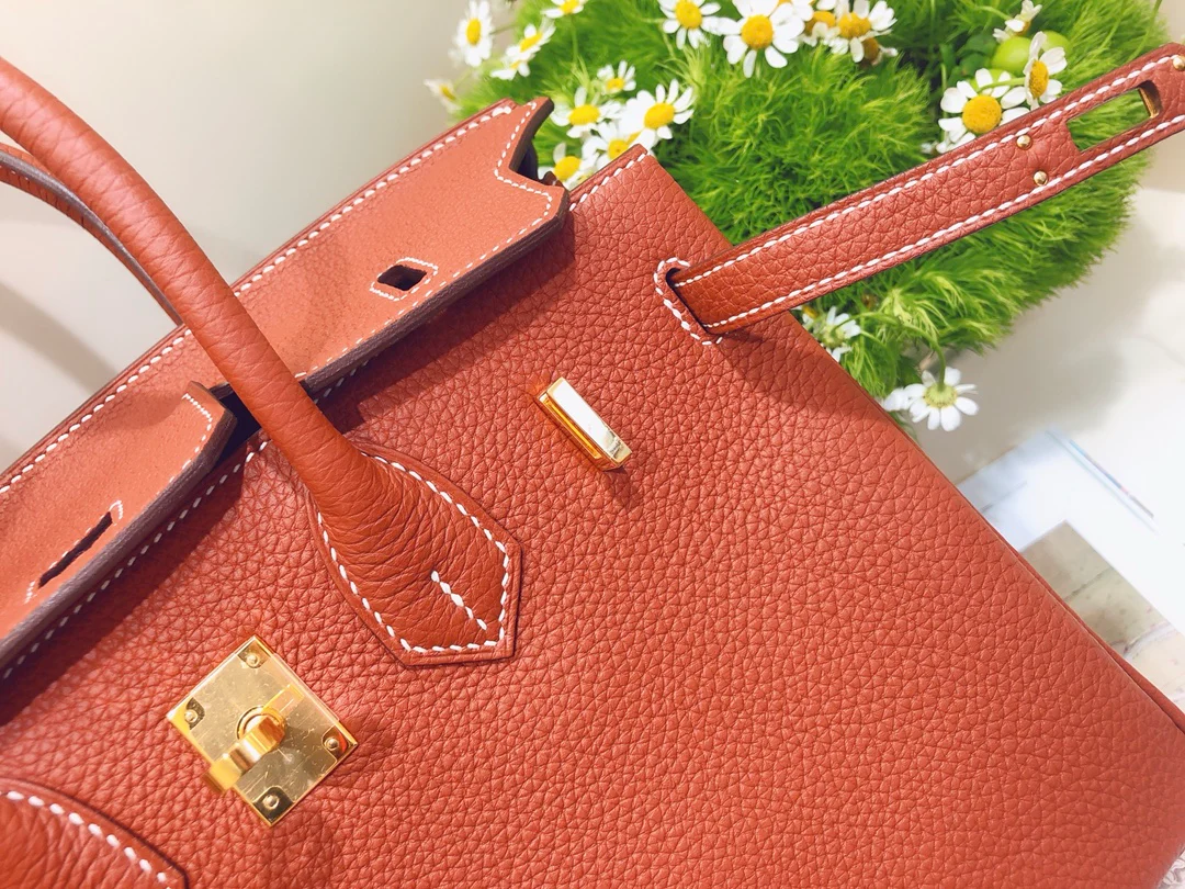 Hermes-birkin-25-togo-Maple Leaf Palm- Gold Buckle
