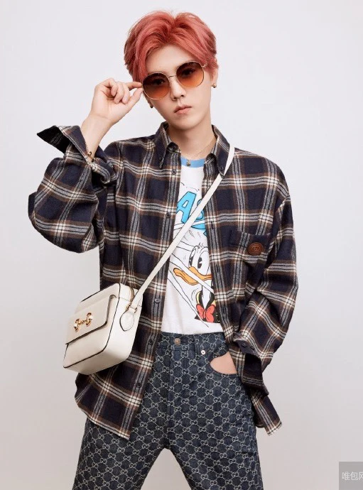 Сумка для фотоаппарата Gucci 1955 с пряжкой в ??виде подковы - 5 шт.