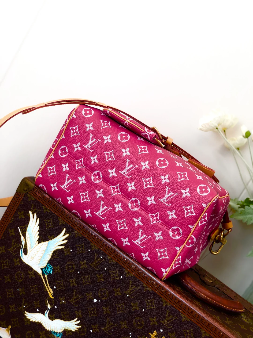 LV Драконий Фрукт Красный