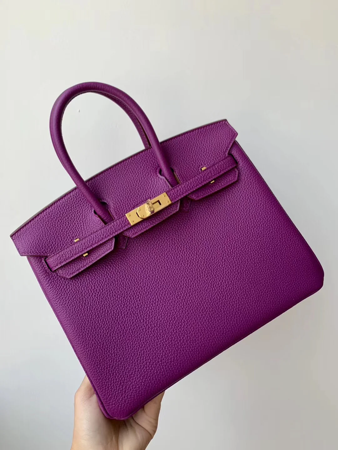 Hermes Birkin 25 Togo P9 Anemone Purple Gold Buckle