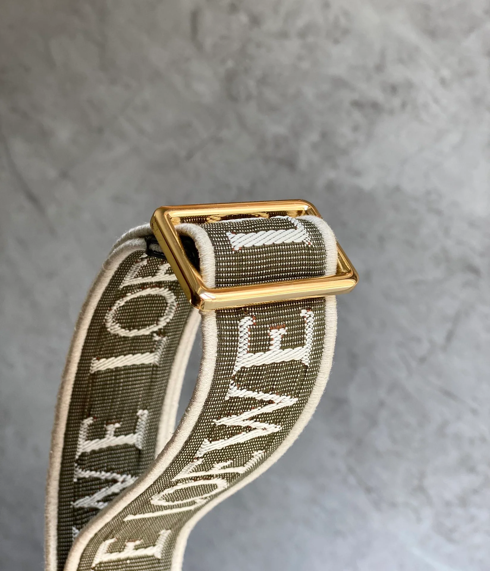 Loewe-gate-dual-military green-mini