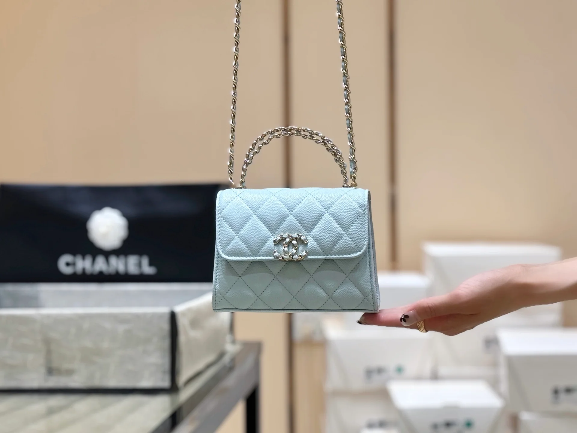 Сумка Chanel 25s Kelly Handle Bag