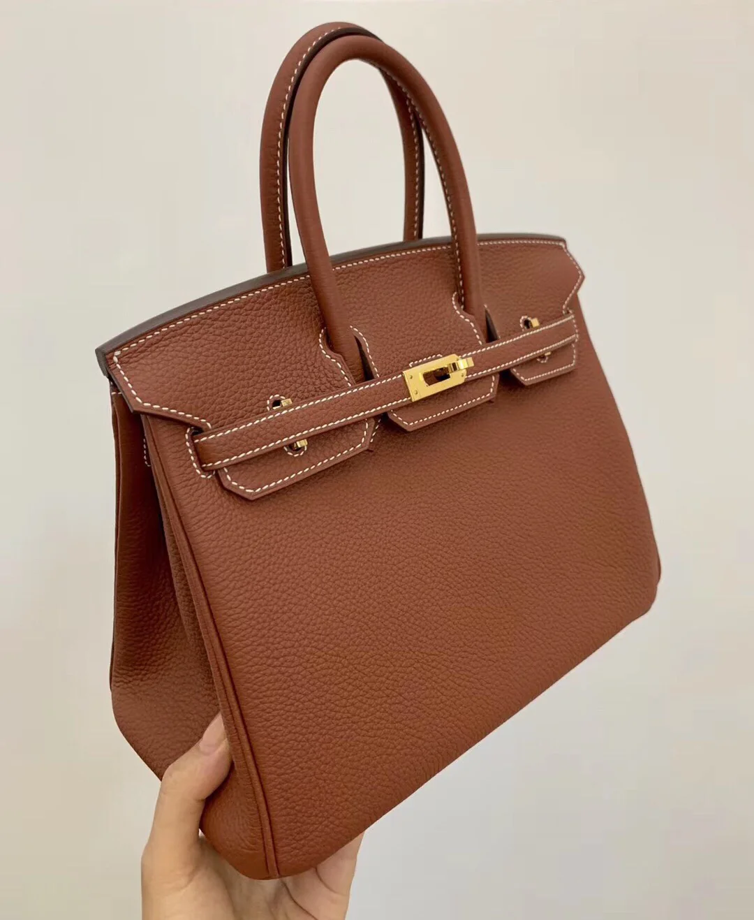 Hermes-birkin-25-e4-Maple Leaf Palm-Gold Buckle