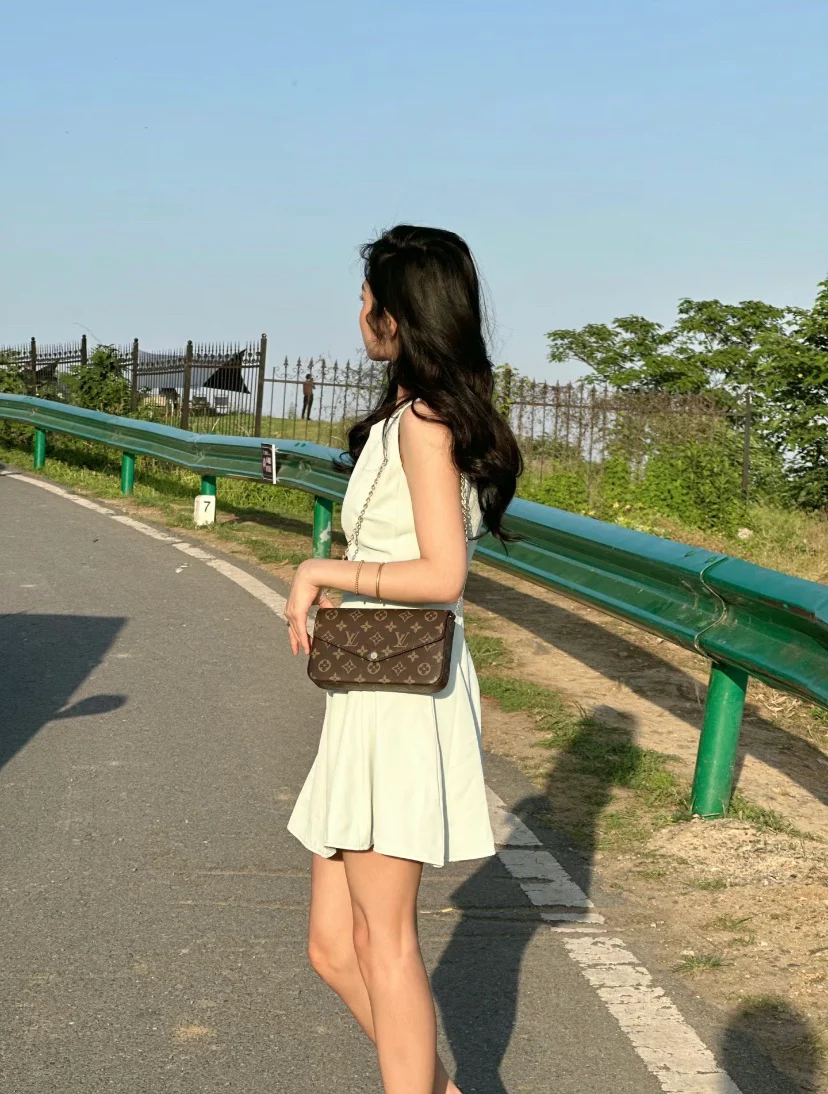 LV-m81896-felicie-pochette сумка с клапаном и карманом, коричневая