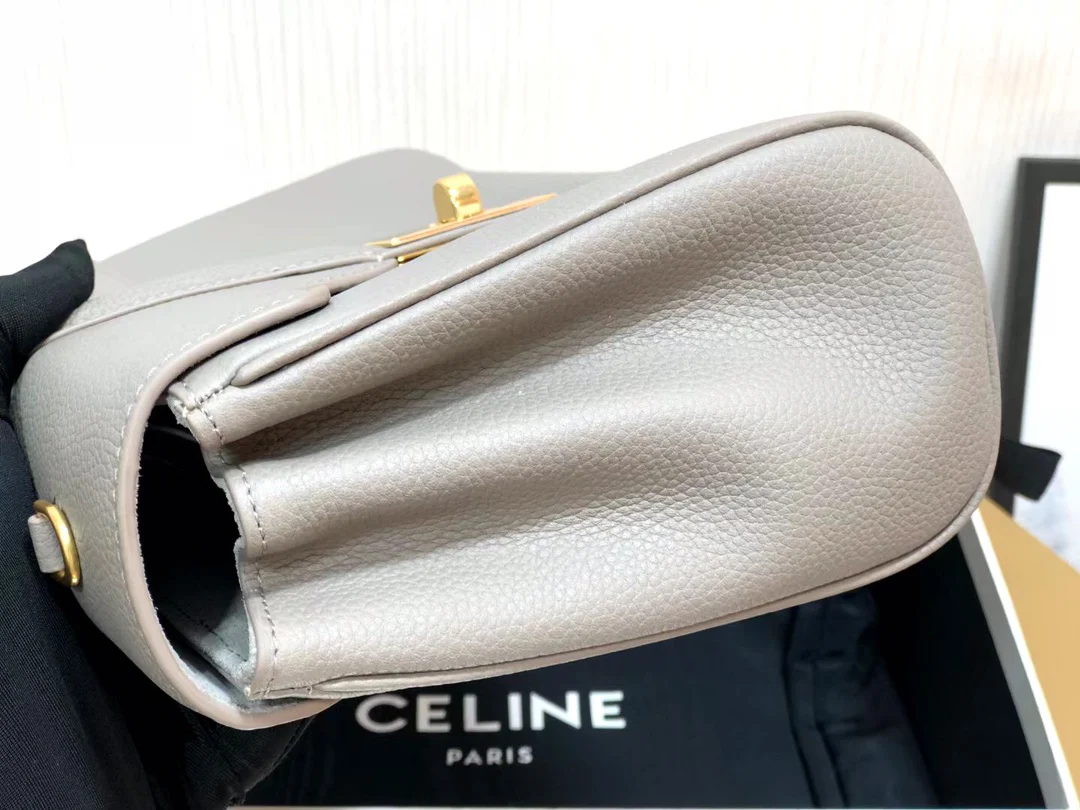 Сумка Celine teen-soft-16 из личи