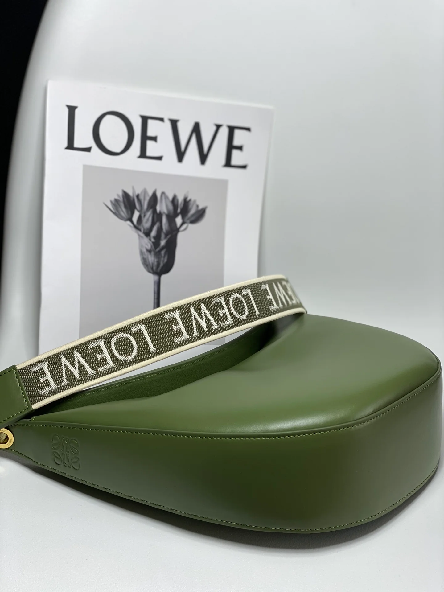 Сумка Loewe Luna серии Moon Bag - 4