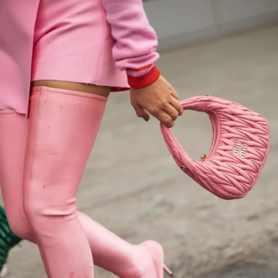 Сумка Miu Miu Wander — подборка фотографий, демонстрирующих людей, носящих её.