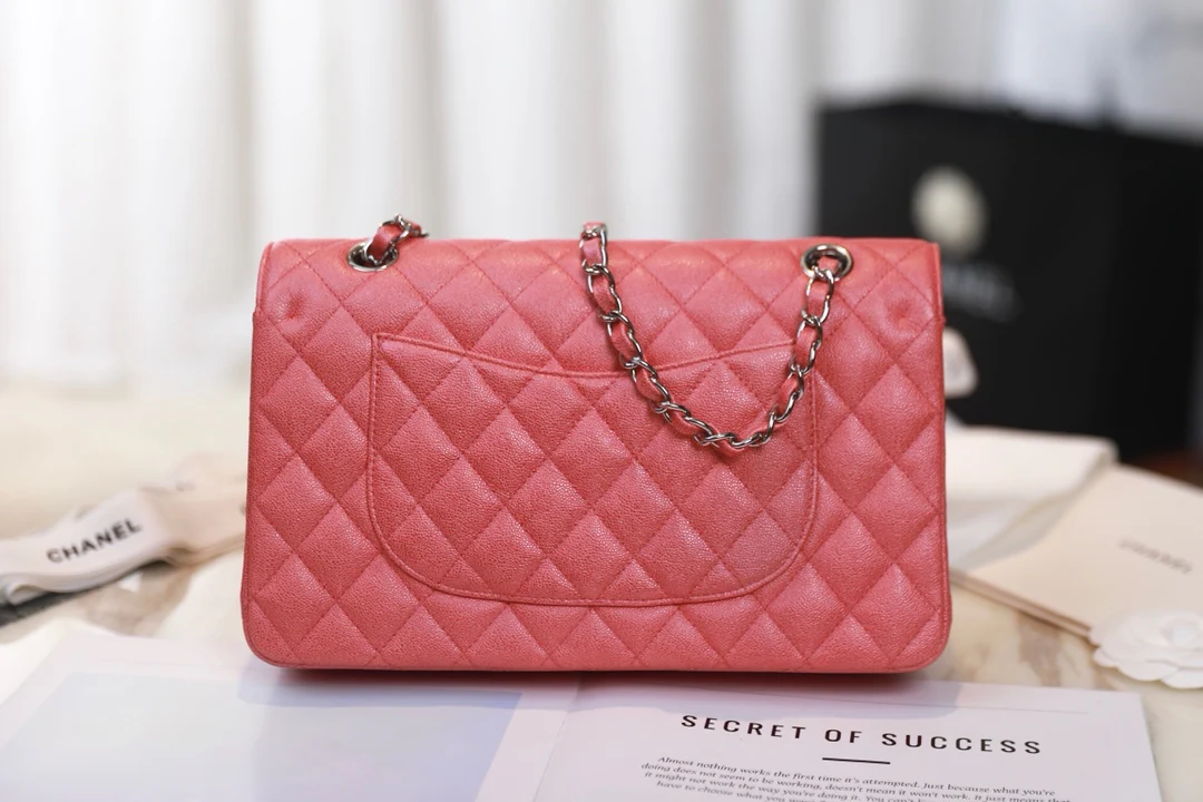 Сумка Chanel Spring/Summer 2019 Ant Pattern CF с перламутровой розовой серебряной пряжкой - 25 см