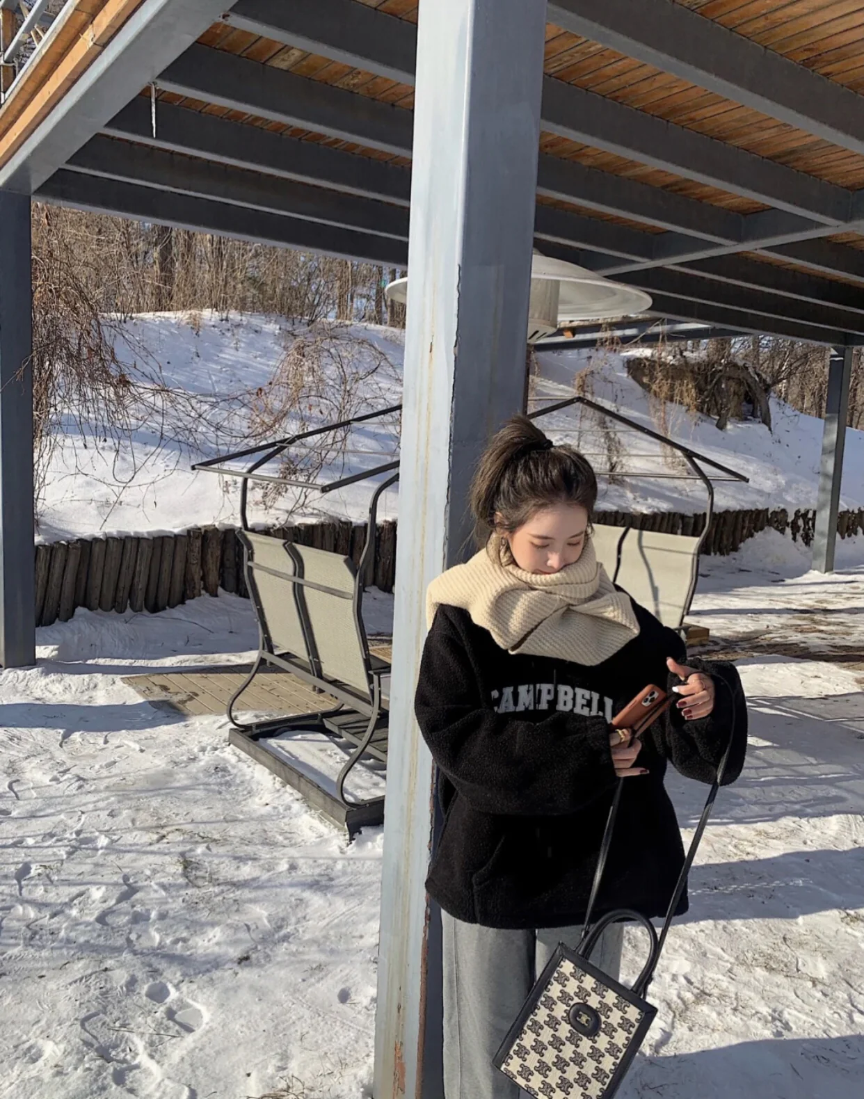 cabas - Миниатюрная вертикальная сумка Triomphe с вышивкой