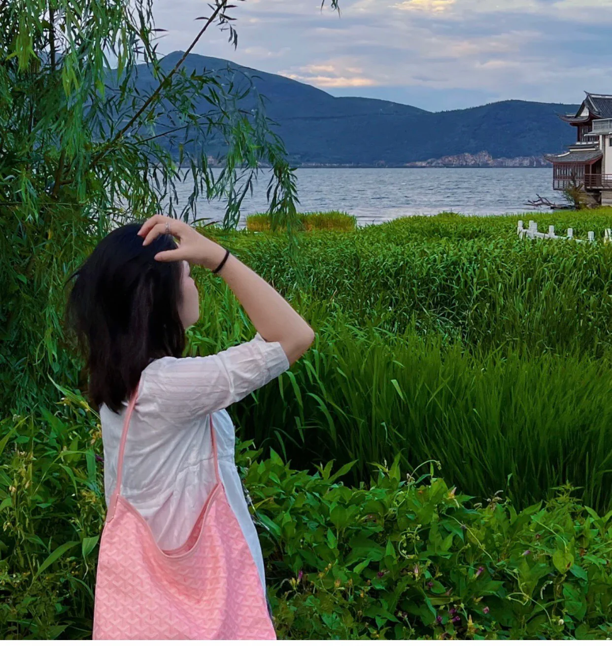 Сумка-тоут на плечо Goyard с монограммой - розовый