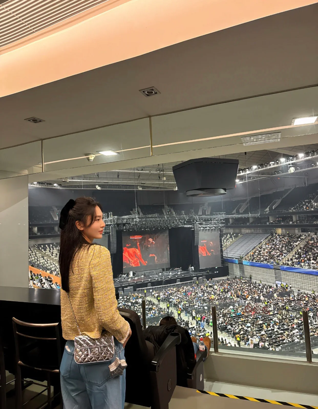 Весенняя коллекция Chanel - 24c - Сумка CF Star Flap Bag - Серебристый