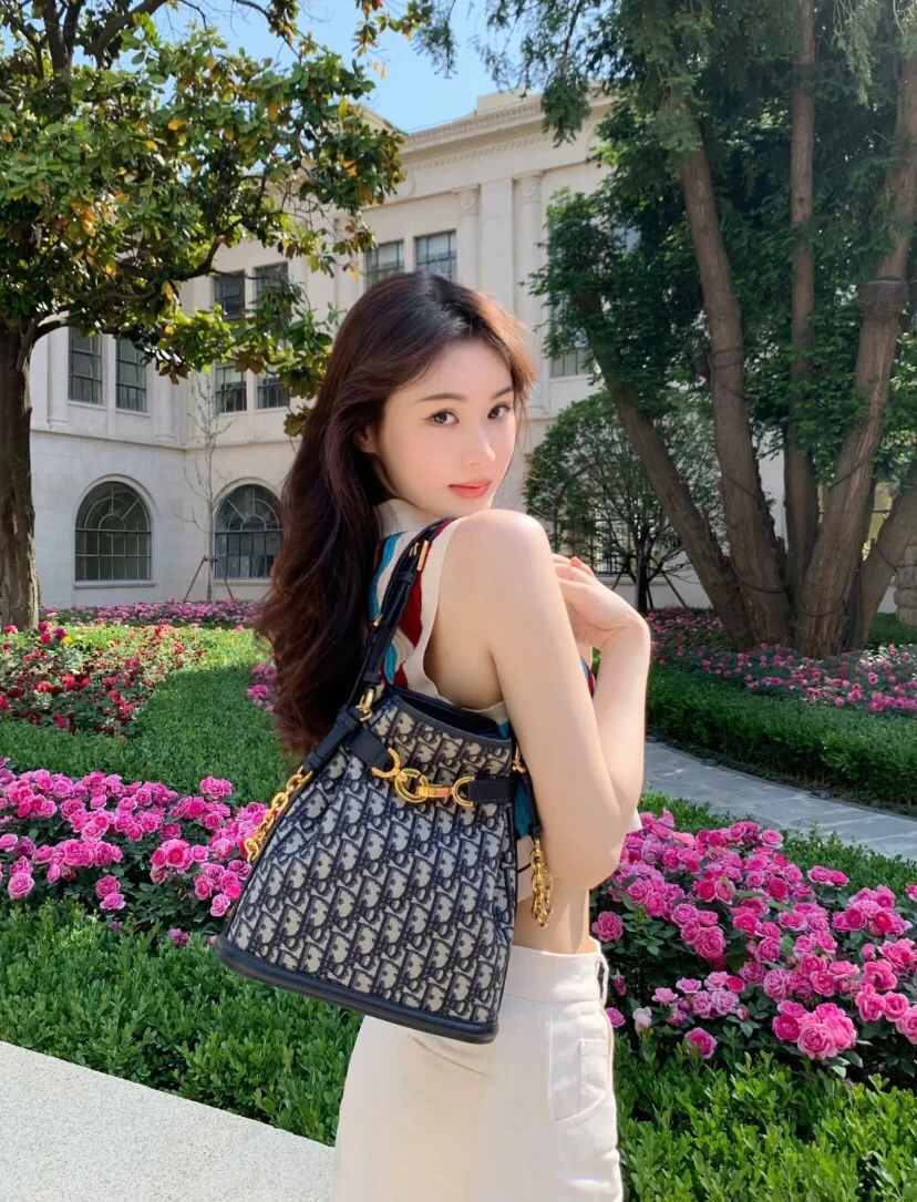 Новые поступления осенней коллекции Dior 2023 - Сумка Cest Dior - Средний размер