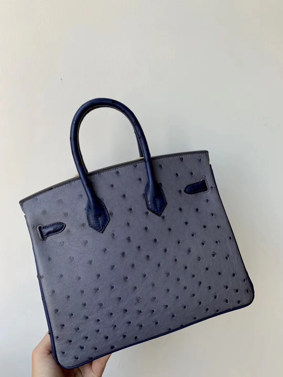 Hermes Birkin 25, пряжка из страусиной кожи с золотой отделкой