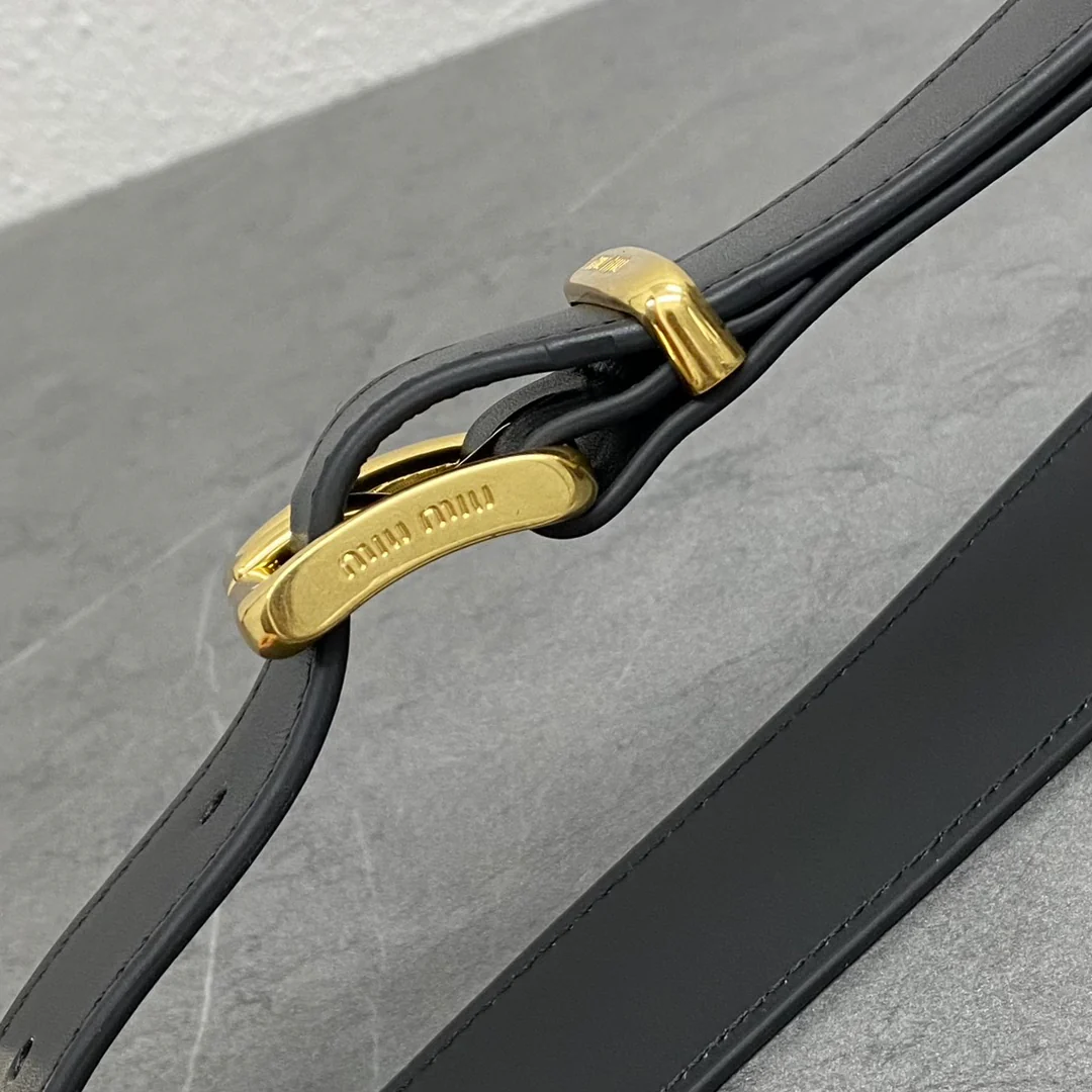 Сумки и портфели Miu Miu-beau