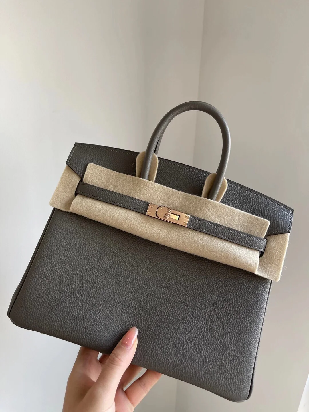 Сумка Hermes Birkin 25 Togo в цвете 