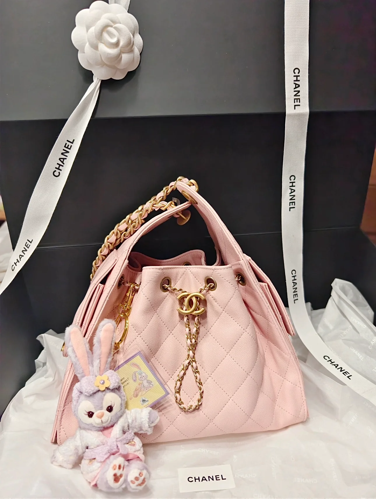 Сумка Chanel 25s 25bag - с экстрактом личи