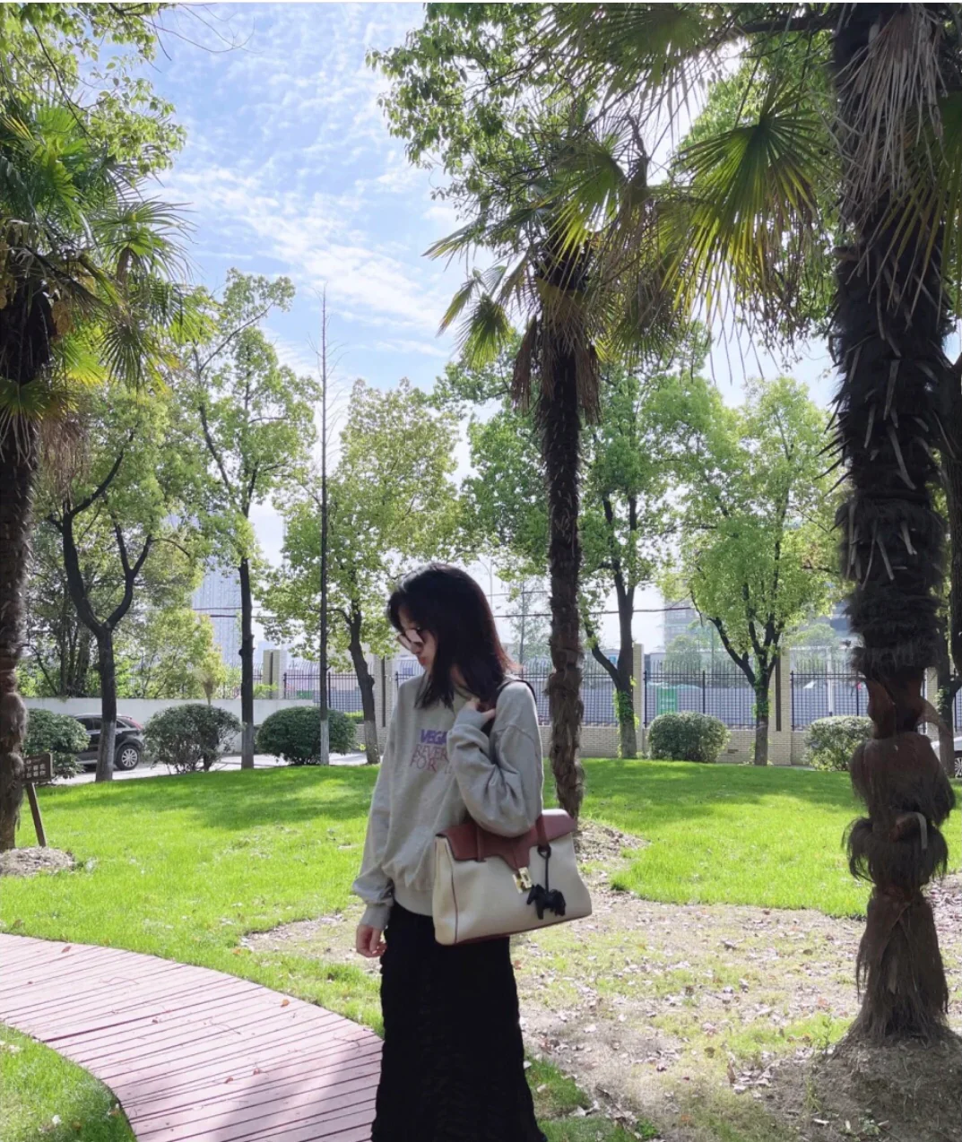 Сумка Celine Soft 16 Medium из канваса и кожи.