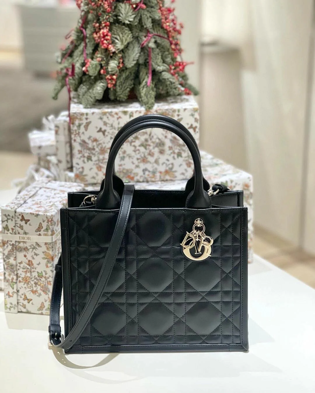 Коллекция Dior Весна/Лето 2024 - Сумка-тоут 