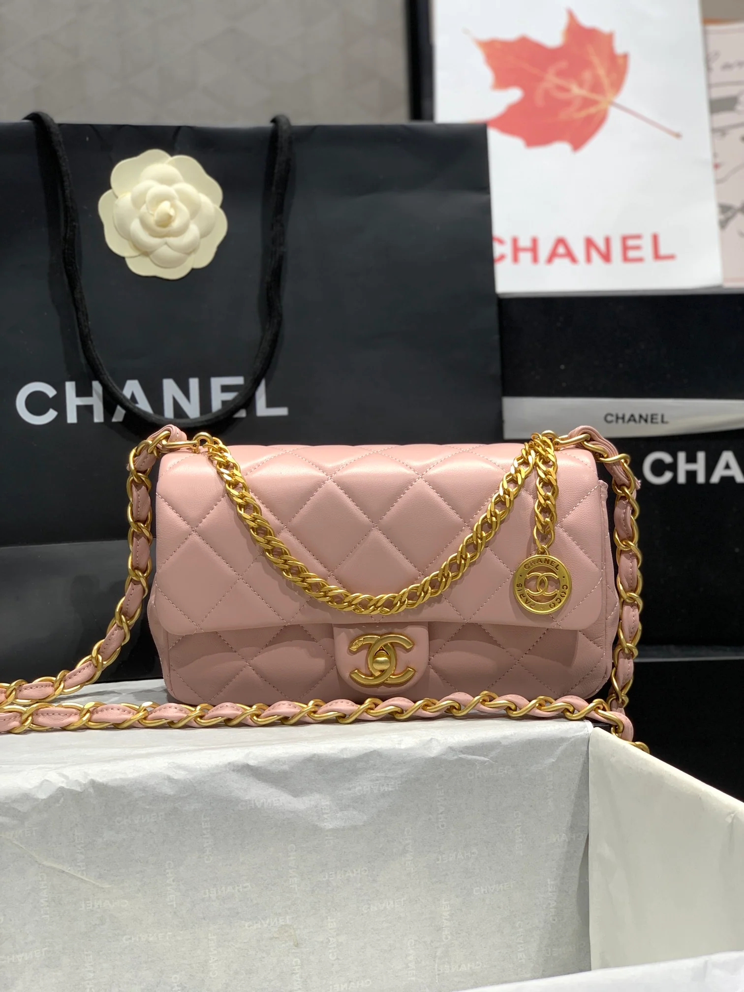Новинка сезона весна/лето 2023 от Chanel - Сумка Coin CF - Розовая - Большой размер