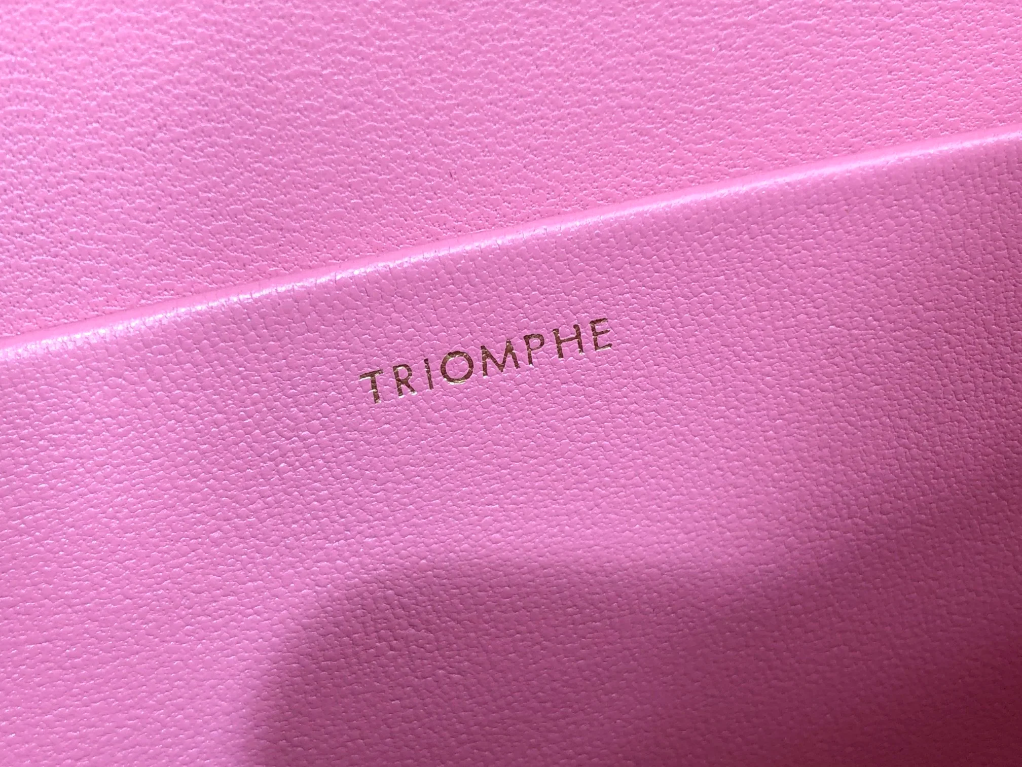 Кожаный рюкзак Celine Triomphe - сумка через плечо - 7