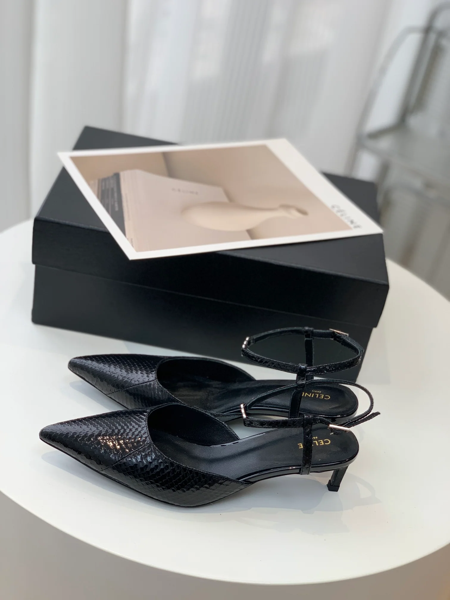 Новинка сезона весна/лето 2023 от Celine - Босоножки на низком каблуке с острым носком - Черные