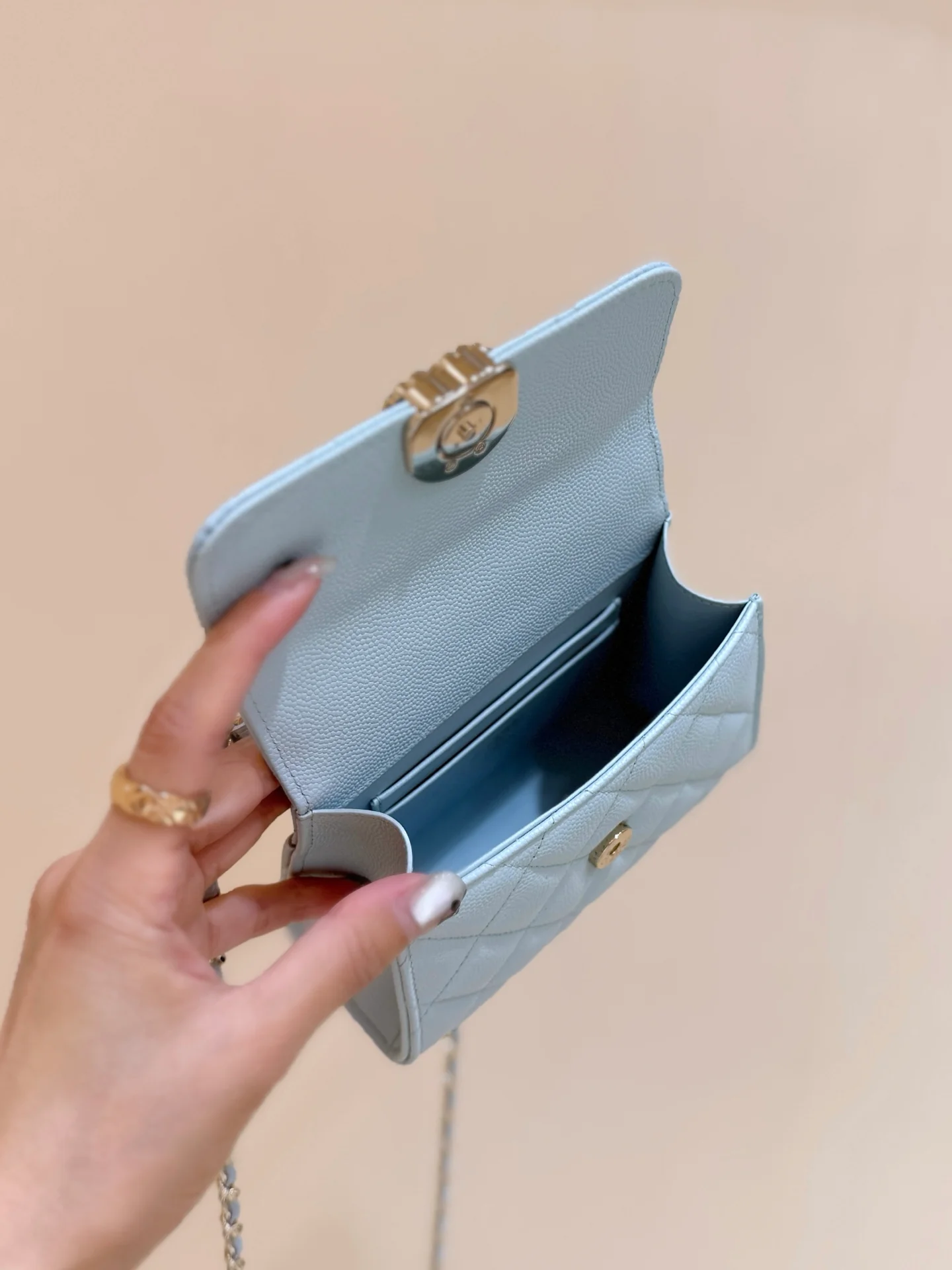 Сумка Chanel 25s Kelly Handle Bag