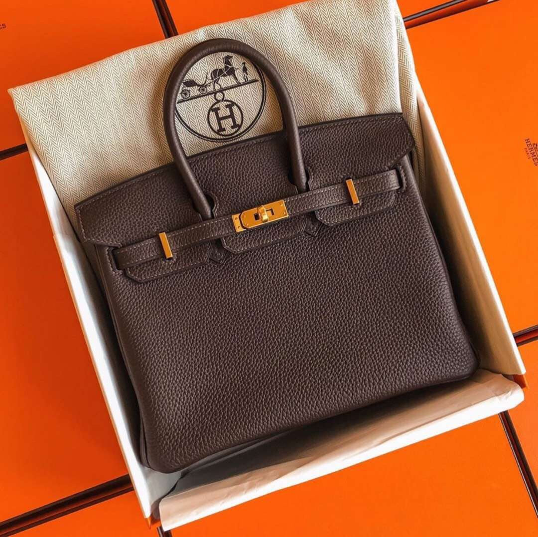 Hermes Birkin 25 Togo Chocolate Chocolate Gold Buckle