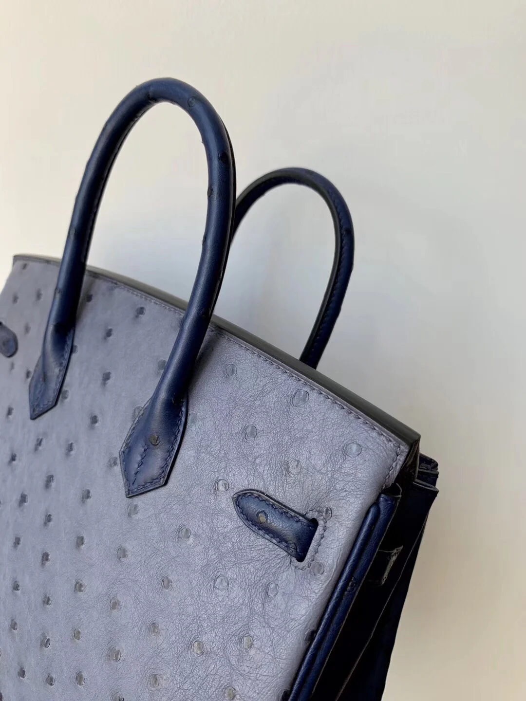 Hermes Birkin 25, пряжка из страусиной кожи с золотой отделкой