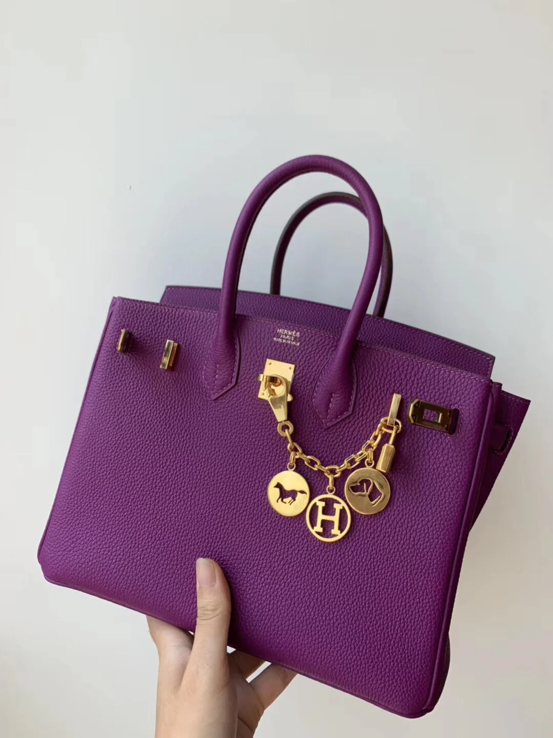 Hermes Birkin 25 Togo P9 Anemone Purple Gold Buckle