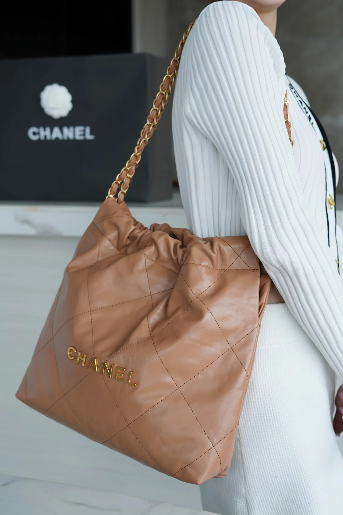 Сумка Chanel 22 - цвет 