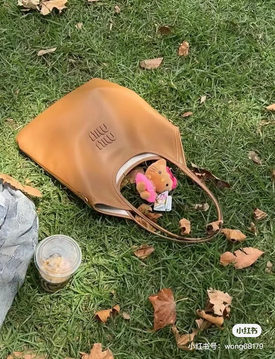 Сумка-хобо Miu Miu Ivy — носить и делиться