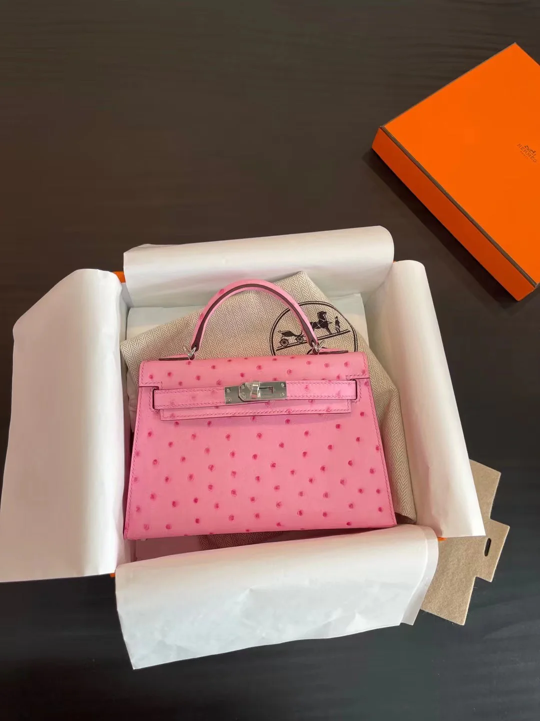 Миниатюрная пряжка Hermes Kelly Mini 2nd Generation из страусиной кожи с эффектом ?пузырьковой пудры?