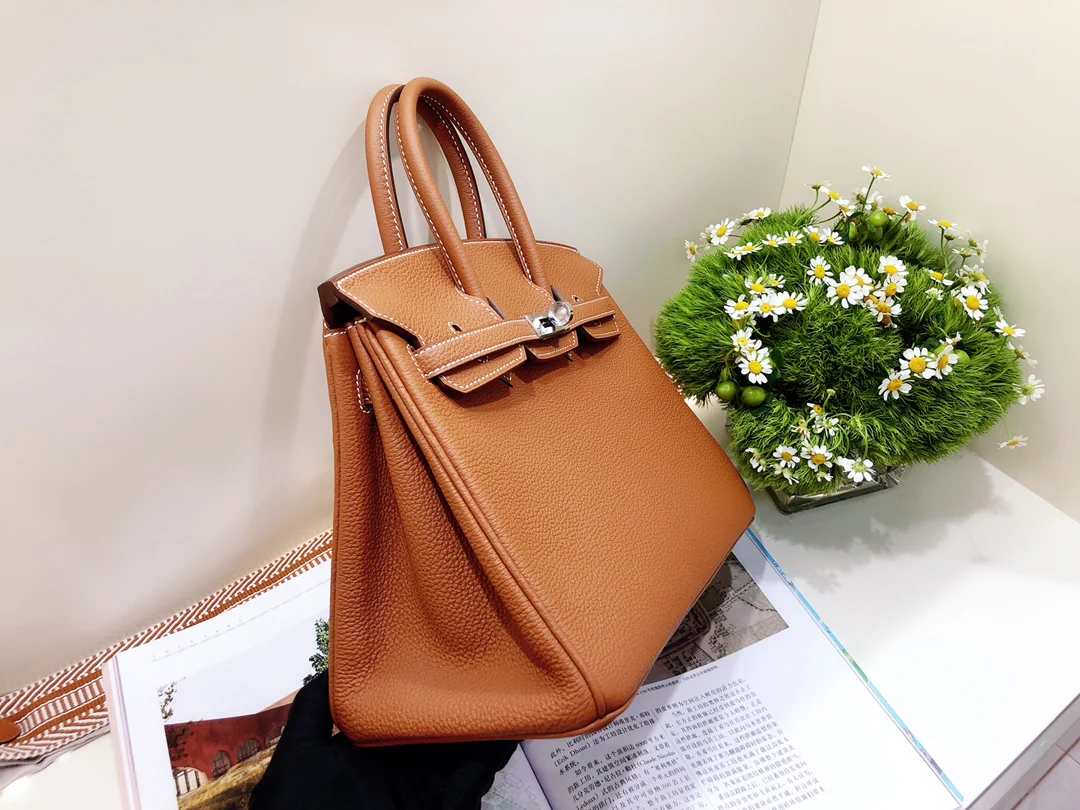 Hermes Birkin 25 Togo Gold Brown Silver Buckle