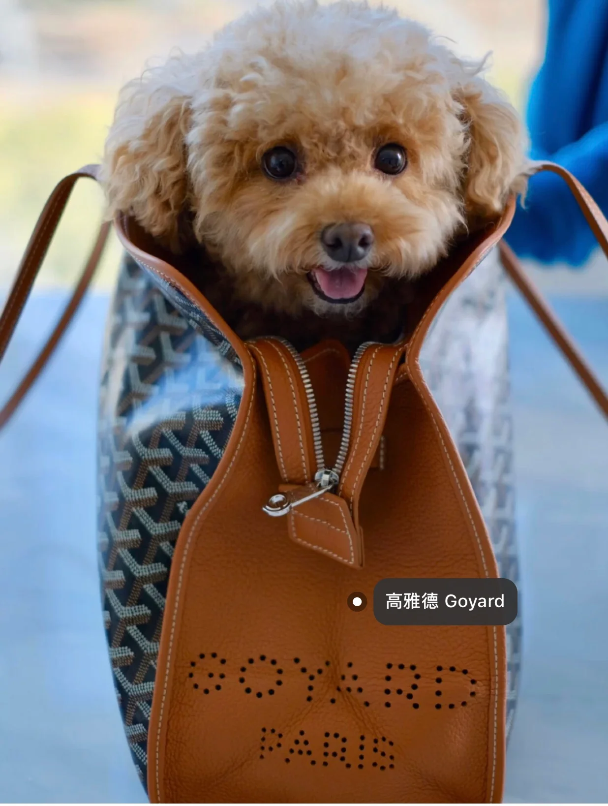 Маленькая складная холщовая сумка Goyard - коричневая.