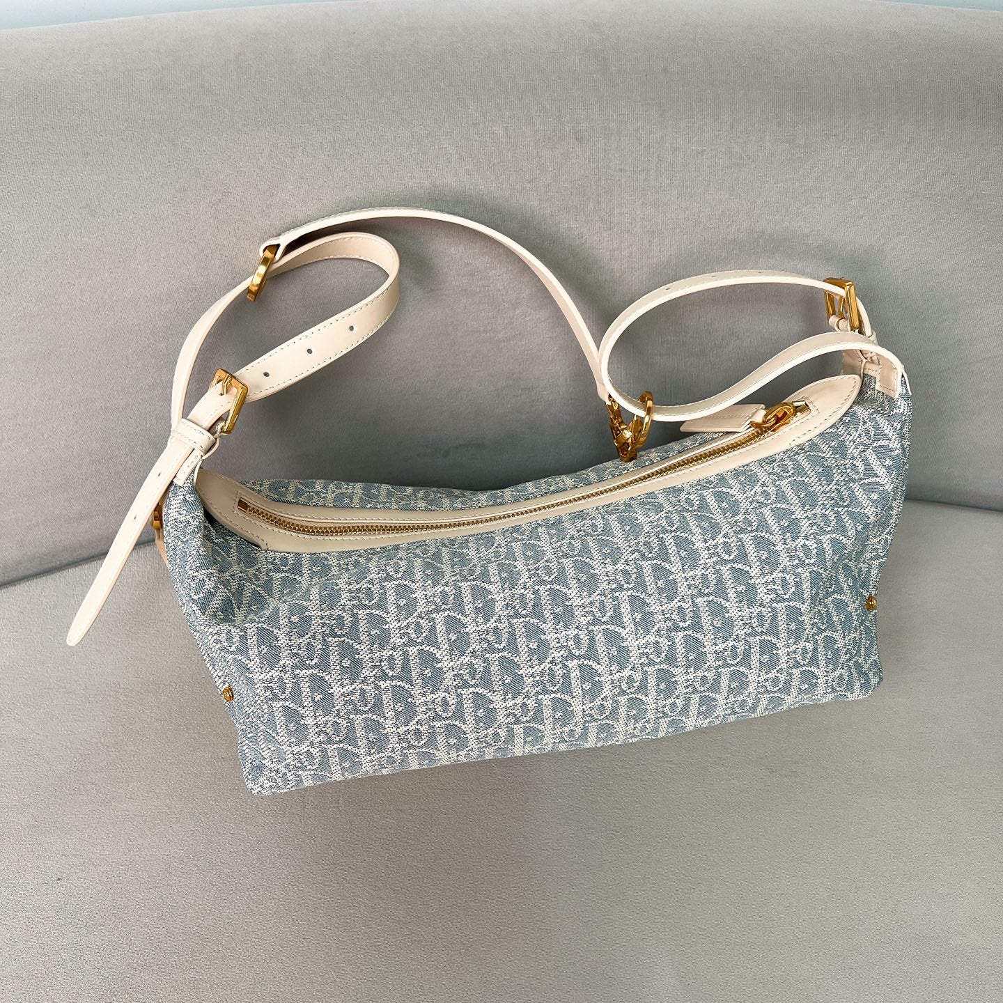 Dior Journey Dumplings - Medium - Monogram Blue