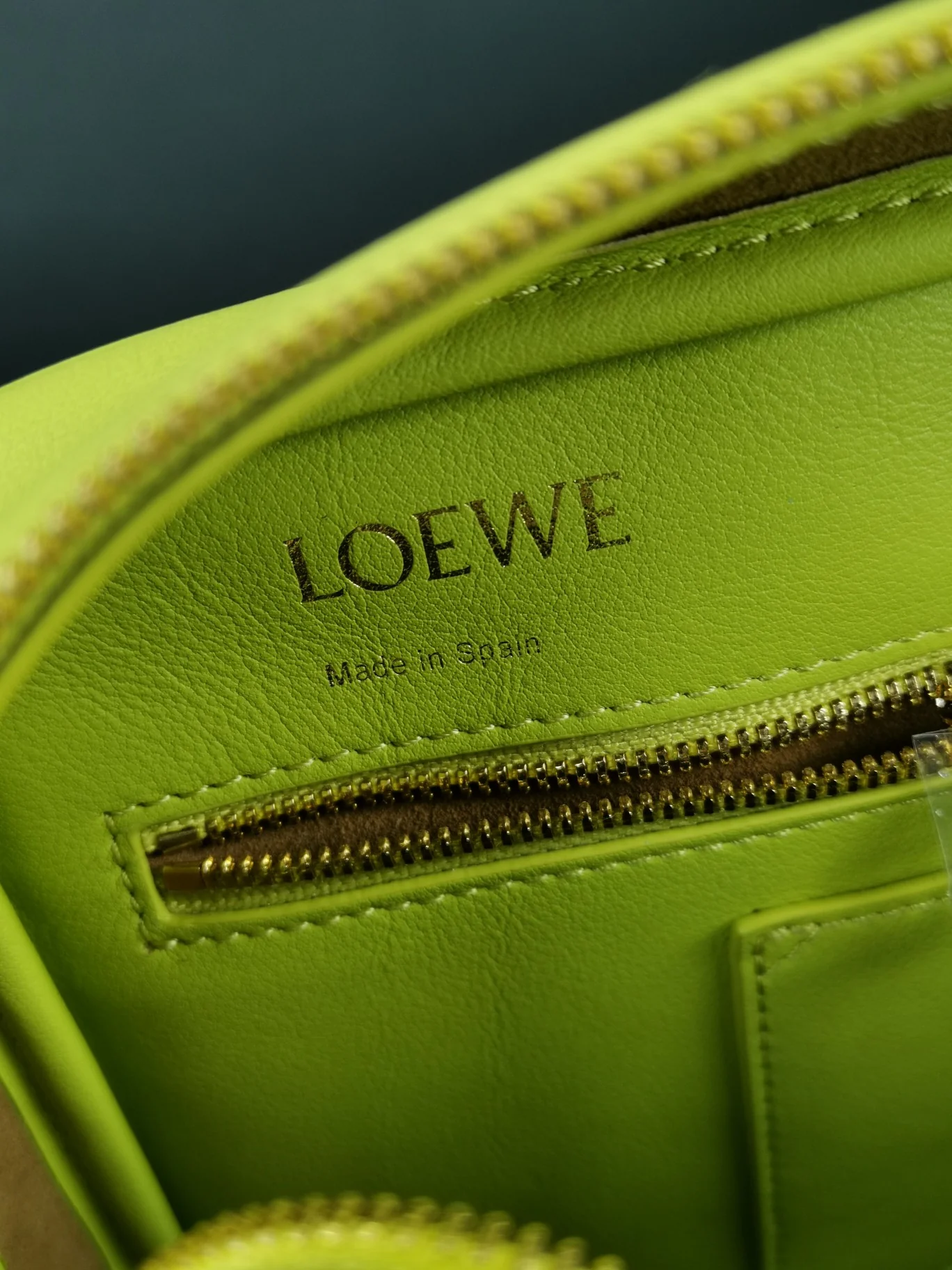 Loewe-amazona-32
