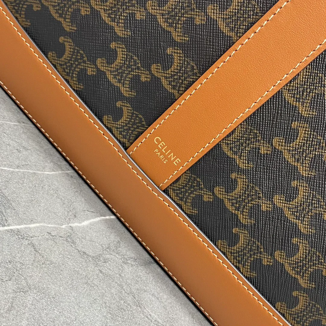 Монограмма Celine-triomphe-canvas-full-page