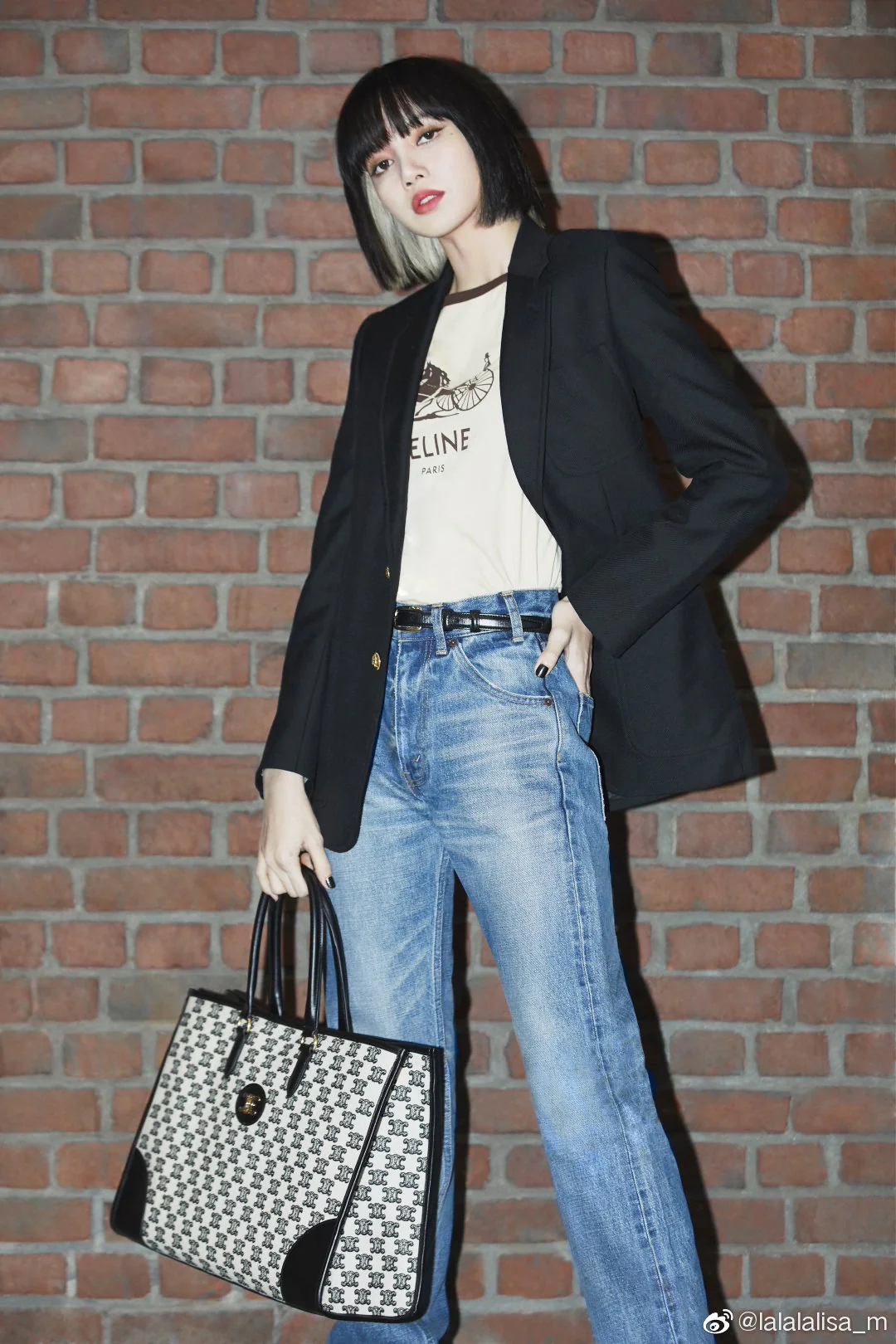 Большая сумка-тоут Celine Triomphe с черно-белой вышивкой