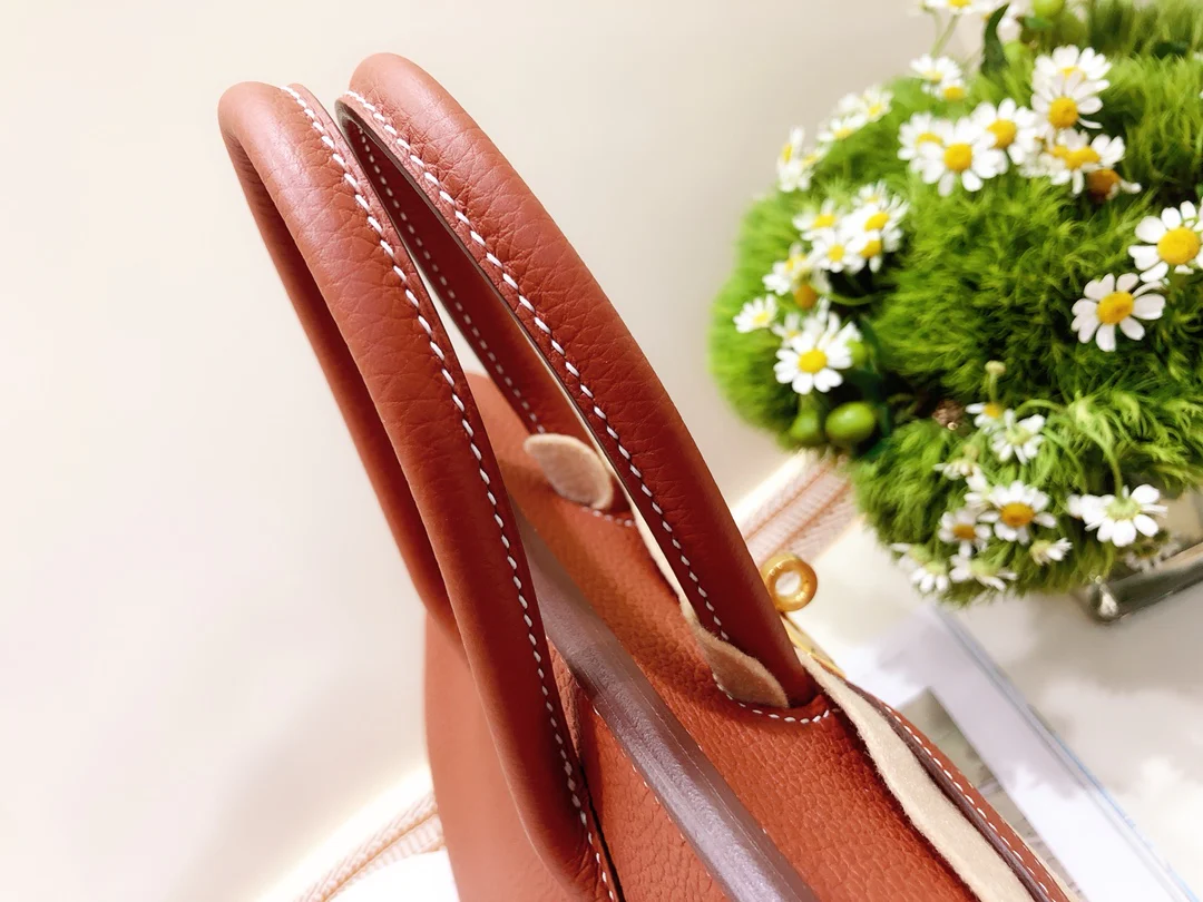 Hermes-birkin-25-togo-Maple Leaf Palm- Gold Buckle